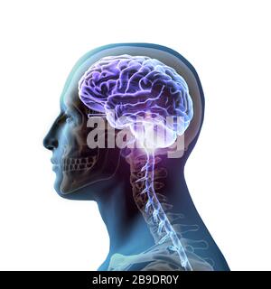 Vue latérale de l'homme avec cerveau lumineux et crâne, sur fond blanc. Banque D'Images