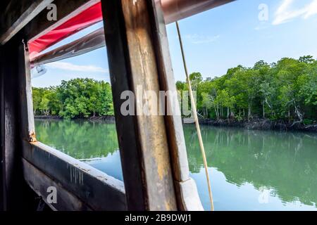 Vue sur les mangroves et l'eau depuis les fenêtres ouvertes à long queue sur Ko Yao Noi, une île au large de Phuket dans le sud de la Thaïlande Banque D'Images