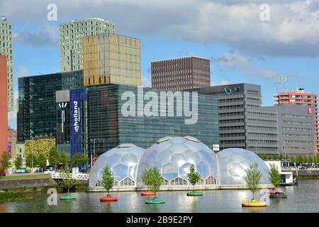 Découvrez Rijnhaven Rotterdam sur la forêt et les sphères flottantes. Les hautes hausses modernes dans le dos; lieu du Sommet sur l'adaptation au climat en octobre 2020 Banque D'Images