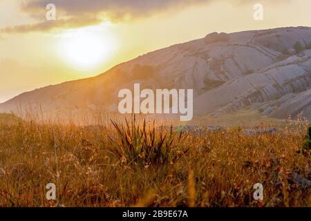 Herbe sèche illuminée par un coucher de soleil africain chaud à Eswatini Banque D'Images