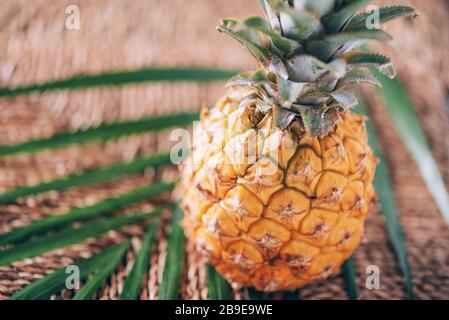 Mini ananas avec feuilles de palmier sur fond en rotin. Espace de copie. Pose plate. Cuisine exotique, concept de fruits tropicaux Banque D'Images