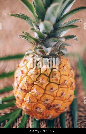 Mini ananas avec feuilles de palmier sur fond en rotin. Espace de copie. Pose plate. Cuisine exotique, concept de fruits tropicaux Banque D'Images