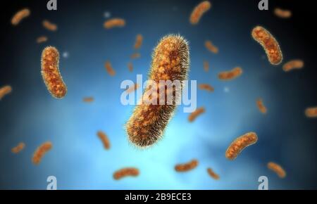 Image conceptuelle de la bactérie Bacillus. Banque D'Images