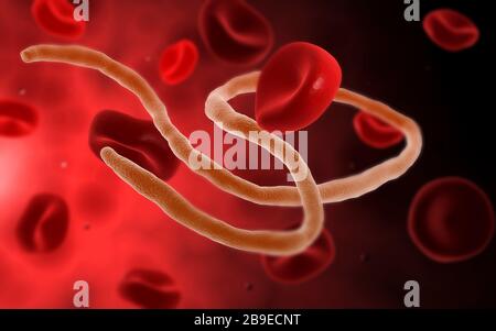 Image conceptuelle du virus ebola avec les cellules sanguines. Banque D'Images