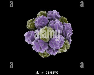 Image conceptuelle d'un seul norovirus. Banque D'Images