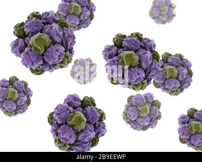 Image conceptuelle du norovirus. Banque D'Images