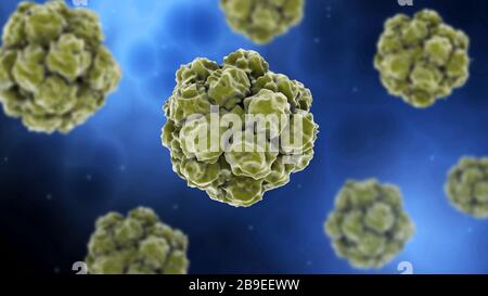 Image conceptuelle du norovirus. Banque D'Images