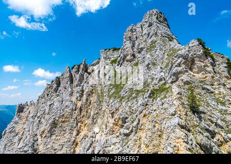 Excursion en montagne au-dessus de la Rote Flüh et de Friedberg via ferrata jusqu'à la Scharschrofen dans les montagnes de Tannheim Banque D'Images