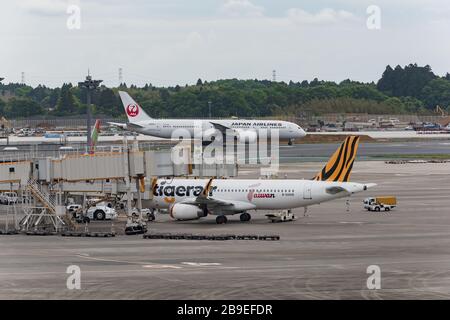 Narita, Japon - 15 mai 2019 : tablier de maintien de l'aéroport international de Narita, des avions de Japan Airlines et de Tigerar Airlines attendent de partir. Banque D'Images