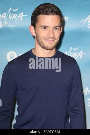 12 janvier 2017 - Londres, Angleterre, Royaume-Uni - Cirque du Soleil : soirée de presse Amaluna, Royal Albert Hall photo Shows: Guest Banque D'Images