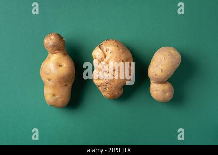 Pommes de terre laides sur fond vert. Légumes laid, non normal, zéro déchet et concept sans plastique. Vue de dessus. Espace de copie Banque D'Images