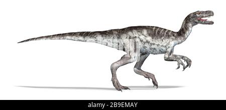Illustration tridimensionnelle d'un dinosaure de Herrerasaurus, vue latérale sur fond blanc. Banque D'Images