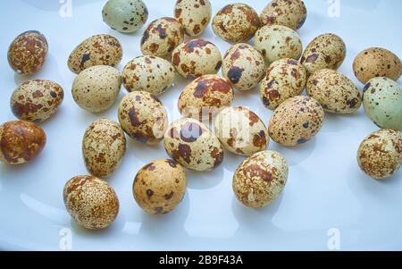 De nombreux œufs de caille crus sur fond bleu. Les œufs de Quail sont plus nutritifs et plus sains que les œufs de poulet. Le concept sur un fond clair Banque D'Images