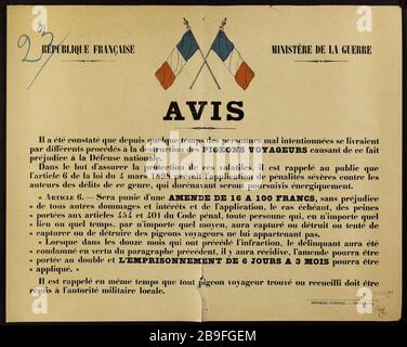 MINISTÈRE DE LA GUERRE DE LA RÉPUBLIQUE FRANÇAISE IL a été constaté que pendant un certain temps les méchants indulgés par diverses méthodes pour la destruction des PIGEONS causant ainsi des préjugés à la défense nationale. Imprimerie nationale. Ministère de la Guerre, Avis, il a été défini que deupuis temps of personnes mal intentionées se livraent par diffents procesus à la destruction des pigeons voyageurs responsables de ce fait jugée à la Défense nationale. Typographie couleur. 1915. Paris, musée Carnavalet. Banque D'Images