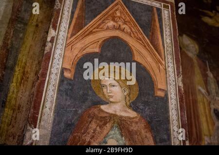 Fresque d'un saint à l'intérieur de la Basilique de San Zeno à Vérone, Italie Banque D'Images