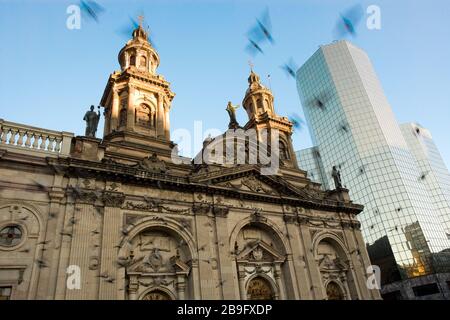 Cathédrale métropolitaine de la Plaza de Armas, la place principale du centre-ville de Santiago du Chili, en Amérique du Sud Banque D'Images