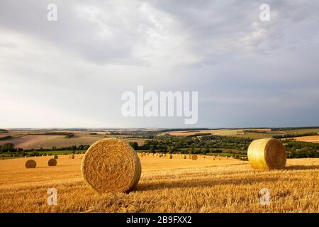 Balles de paille sur la colline d'Ebsbury, près du village de Stapleford dans le Wiltshire. Banque D'Images