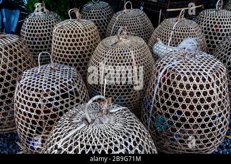 Poulets dans les cages de bambou, Ubud, Bali, Indonésie. Banque D'Images