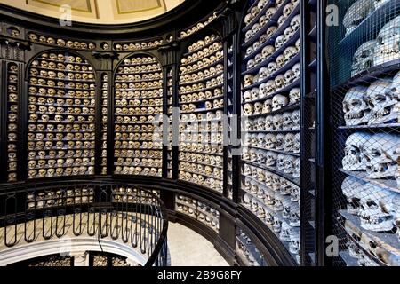 Crânes et os du San Martino della Battaglia ossuary. Desenzano del Garda, province de Brescia, Lombardie, Italie, Europe. Banque D'Images