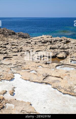 Roches salées sur la côte de la mer intérieure, Gozo, Malte. Paysage vertical Banque D'Images