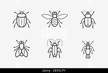 Icône insectes définie dans un style linéaire. Illustration vectorielle Illustration de Vecteur