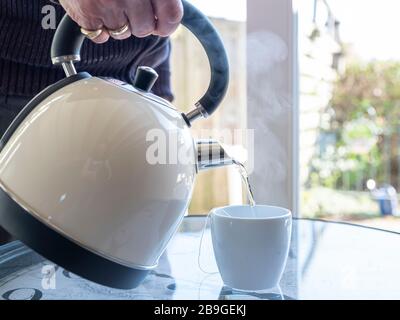 bouilloire électrique avec eau bouillante pour la tisane, main masculine qui verse de l'eau dans la tasse à thé. Sélectif concentré sur la bouilloire et versé te Banque D'Images