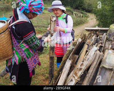 Trekking avec les Sapia Sœurs. Deux femmes Hmong traditionnelles qui collectent des champignons pour le dîner, Sapa, Vietnam 2020 Banque D'Images