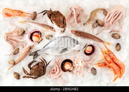 Variété de poissons et fruits de mer, prise du sommet sur fond blanc, sur glace Banque D'Images