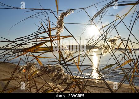 Paysage d'herbe avec fond de mer et de soleil Banque D'Images