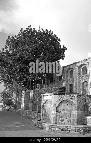 La partie de la Mosquée de Grans (Djami Kebir tel qu'il est appelé) à Larnaca, Chypre Banque D'Images