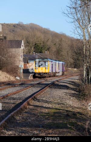 Ancien train Northern Rail classe 142 pacer trains 142060 + 142028 à Redmire, chemin de fer Wensleydale le premier jour de leur course en préservation Banque D'Images