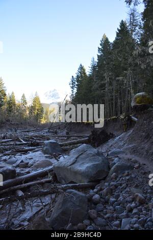 Mt Hood vu depuis la rivière Sandy sur le sentier de Ramona Falls, Oregon, États-Unis Banque D'Images