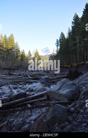 Mt Hood vu depuis la rivière Sandy sur le sentier de Ramona Falls, Oregon, États-Unis Banque D'Images