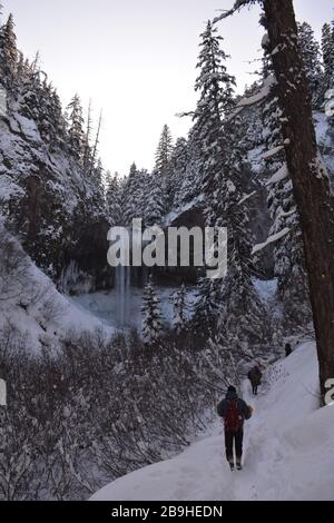 Randonnée d'hiver jusqu'aux chutes de Tamawanas, où Cold Spring Creek coule sur une falaise de lave de 100 mètres sur le côté est de Mt Hood, Oregon, États-Unis. Banque D'Images