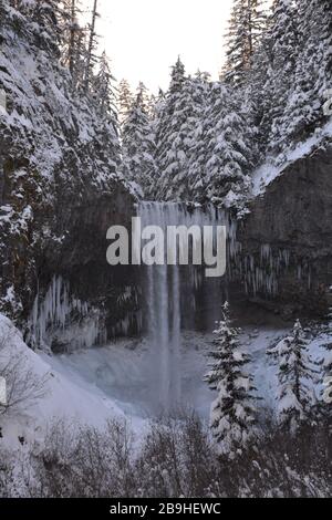 Les chutes Tamawanas, où le ruisseau Cold Spring coule sur une falaise de lave de 110 pi sur la pente inférieure est du mont Hood, sont partiellement gelées en hiver. Banque D'Images