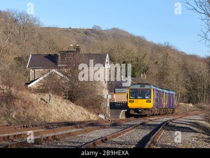 Ancien train Northern Rail classe 142 pacer trains 142060 + 142028 à Redmire, chemin de fer Wensleydale le premier jour de leur course en préservation Banque D'Images