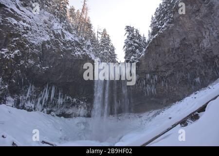 Les chutes Tamawanas, où le ruisseau Cold Spring coule sur une falaise de lave de 110 pi sur la pente inférieure est du mont Hood, sont partiellement gelées en hiver. Banque D'Images