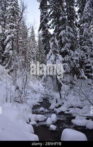 Cold Spring Creek vu lors d'une randonnée hivernale jusqu'aux chutes de Tamawanas, près de Mount Hood, Oregon, États-Unis. Banque D'Images