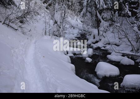 Cold Spring Creek vu lors d'une randonnée hivernale jusqu'aux chutes de Tamawanas, près de Mount Hood, Oregon, États-Unis. Banque D'Images