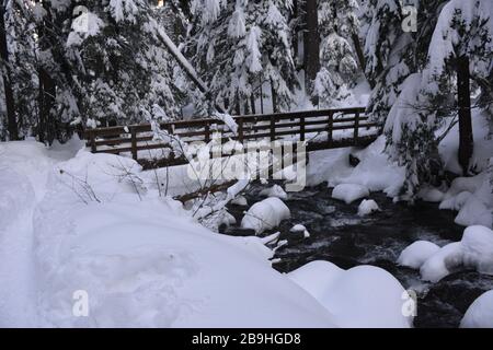 Une passerelle à travers Cold Spring Creek lors d'une randonnée hivernale jusqu'aux chutes Tamawanas, près de Mount Hood, Oregon, au début de l'hiver. Banque D'Images