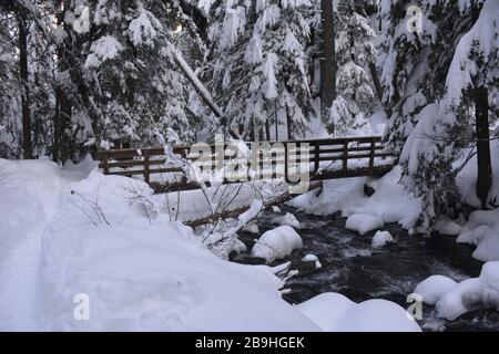 Une passerelle à travers Cold Spring Creek lors d'une randonnée hivernale jusqu'aux chutes Tamawanas, près de Mount Hood, Oregon, au début de l'hiver. Banque D'Images