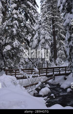 Une passerelle à travers Cold Spring Creek lors d'une randonnée hivernale jusqu'aux chutes Tamawanas, près de Mount Hood, Oregon, au début de l'hiver. Banque D'Images