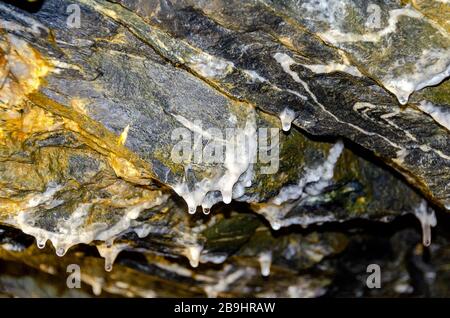 Petites stalactites avec gouttes d'eau au plafond d'une ancienne mine d'argent, Autriche Banque D'Images