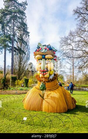 Sculpture inhabituelle de l'artiste Philip Haas : une tête formée d'une collection de légumes, exposée dans le jardin RHS, Wisley, Surrey Banque D'Images