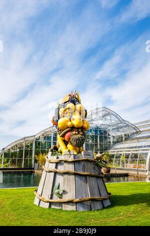 Sculpture inhabituelle de l'artiste Philip Haas : une tête en retrait d'une collection de fruits, exposée par la Glasshouse dans le jardin RHS, Wisley, Surrey Banque D'Images