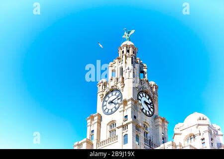 Le célèbre et historique Royal Liver Building à Pier Head sur le front de mer à Liverpool, Angleterre, Royaume-Uni Banque D'Images