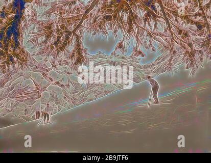 Parmi les cèdres, Cedar Grove. 1946, au Liban Banque D'Images