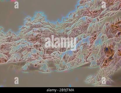 Parmi les cèdres, Cedar Grove. 1946, au Liban Banque D'Images