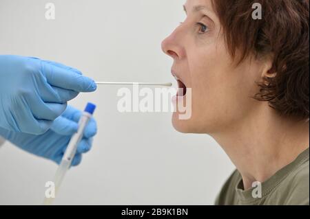 Médecin recueillant un écouvillon nasopharyngé du nez et de la gorge Banque D'Images