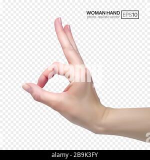 la main féminine en 3 dimensions est correcte. Illustration vectorielle réaliste sur fond transparent. Illustration de Vecteur